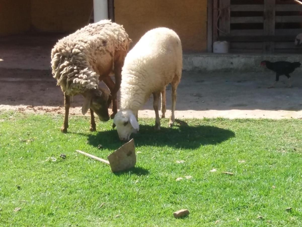 Molise Hotel Fazenda Serra Negra  Luaran gambar